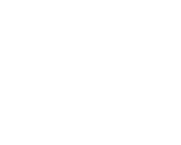 Dolfin360